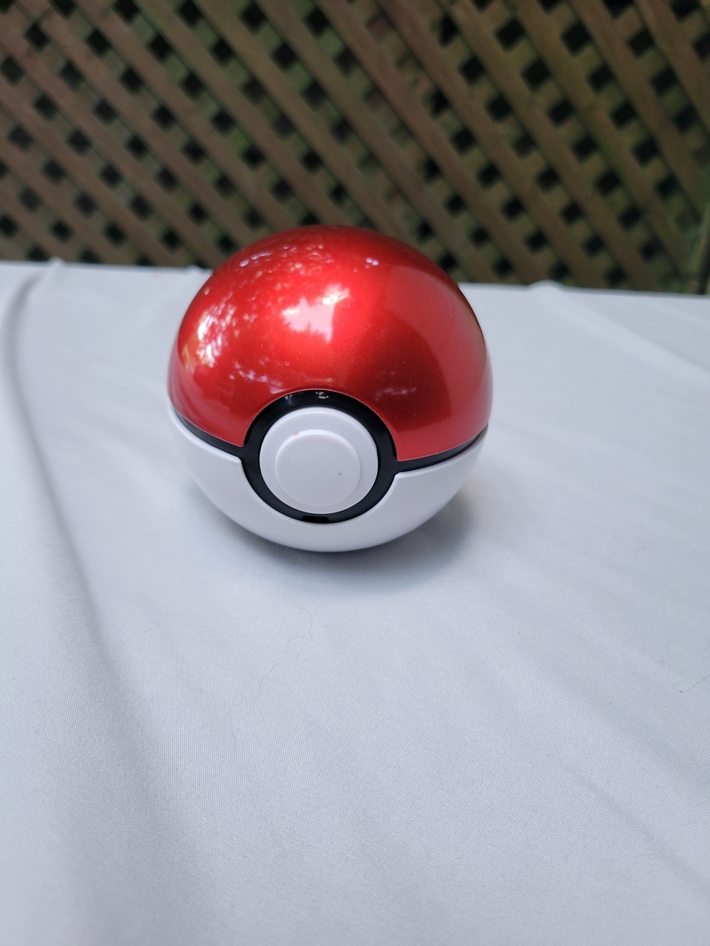 Pokemon Trainer Guess - Will Guess It, Electronic Voice Recognition Brain Game